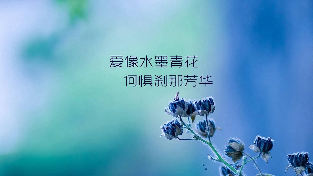 卡盟 - 10元刷王
